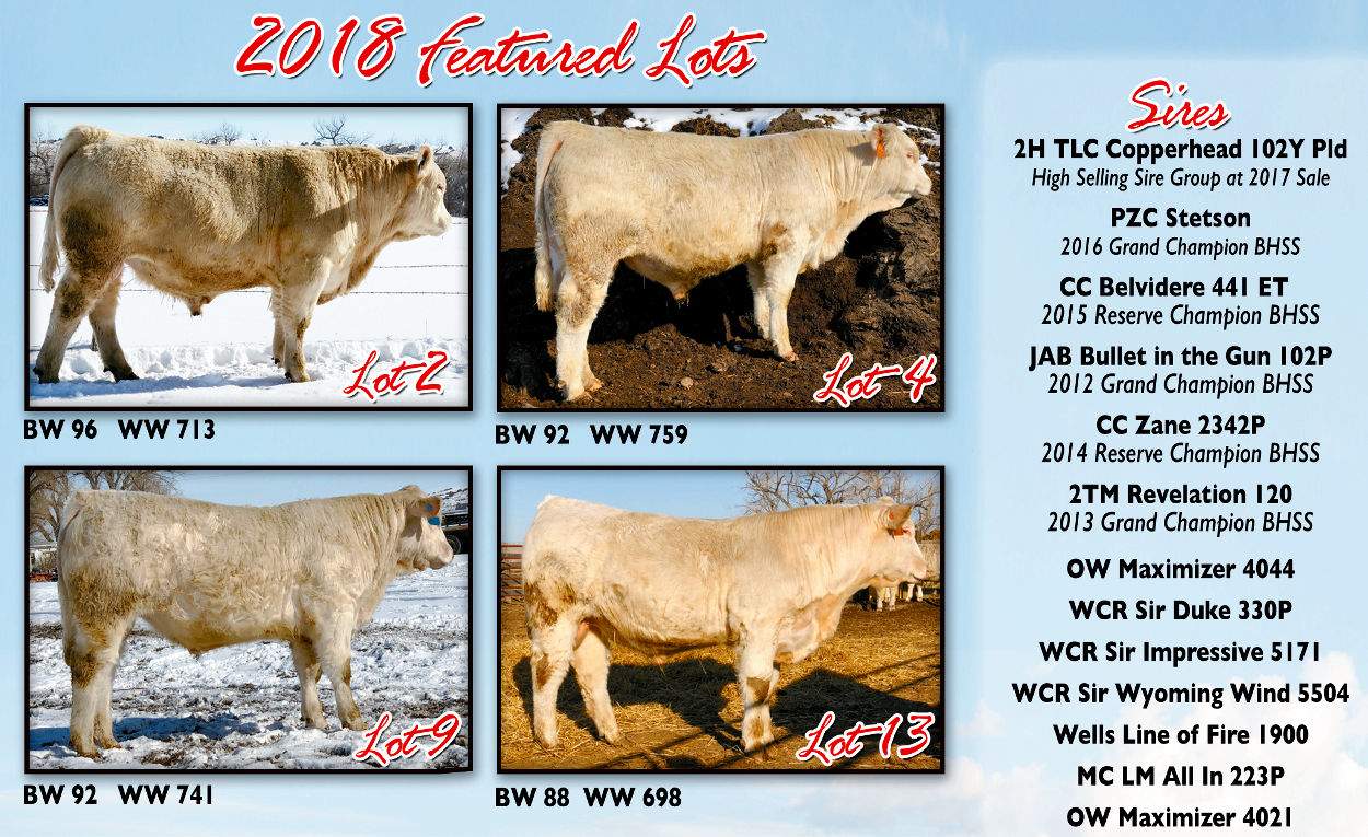 2018 Featured Sires 2018 Featured Sires
